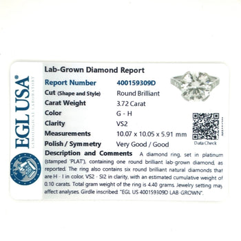3,72 carati Lab Grown Diamond Ring in montatura Half Bezel in platino – Assay Jewelers