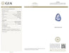 GIA Certified High Jewelry Sapphire and Diamond Eye Motif Pendant-Brooch